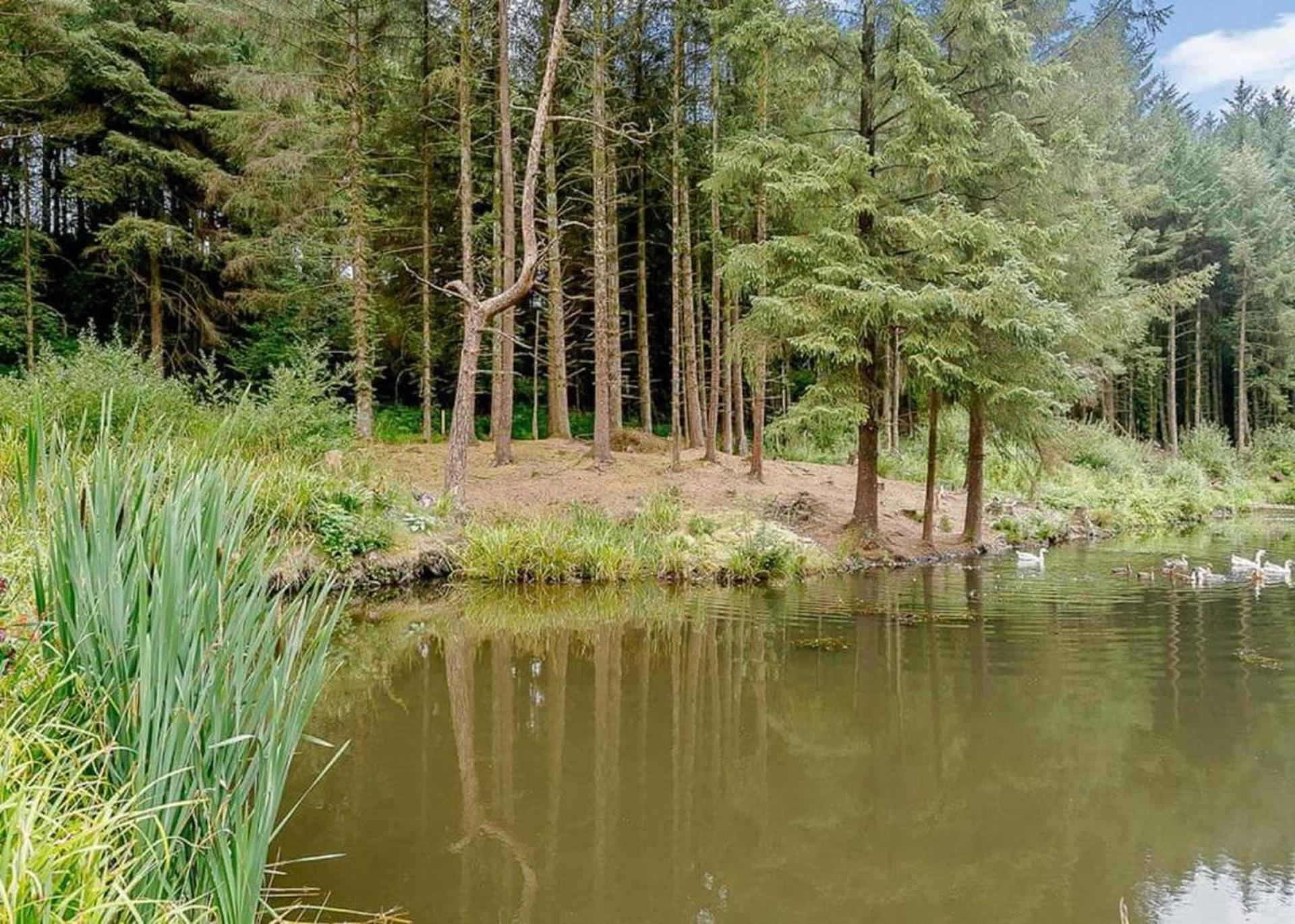 Lodge Sleeps 6 with Private Hot Tub view 2