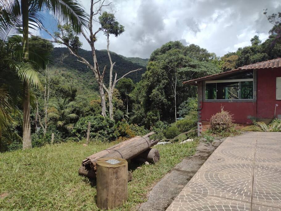 Contemplar a natureza, ouvir os pássaros, relaxar.