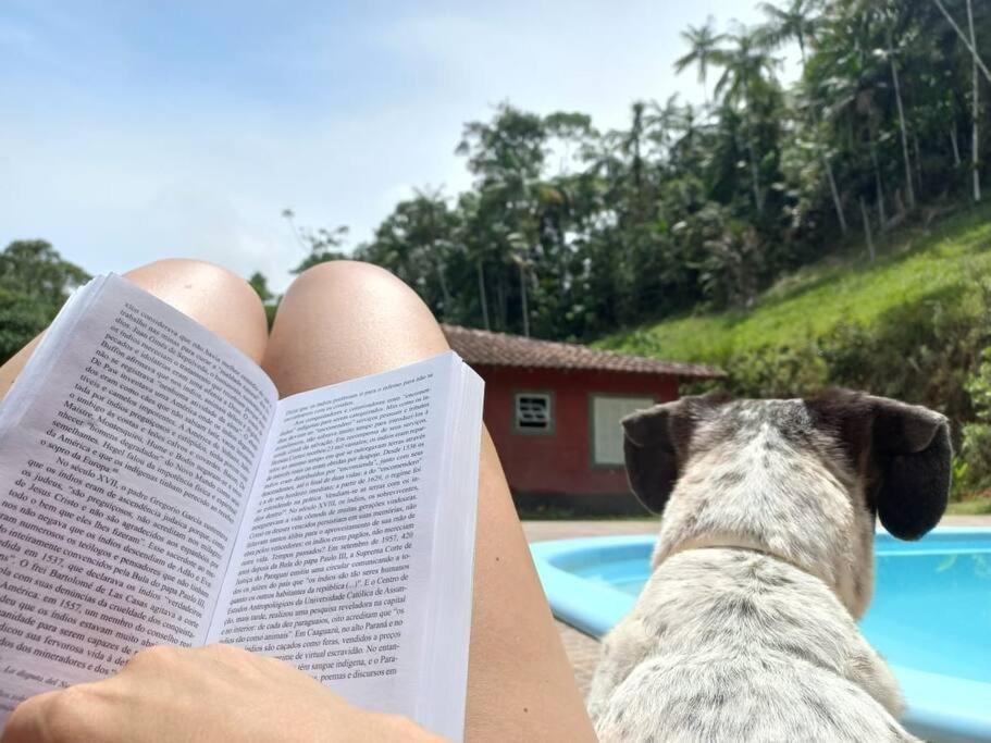 Contemplar a natureza, ouvir os pássaros, relaxar.