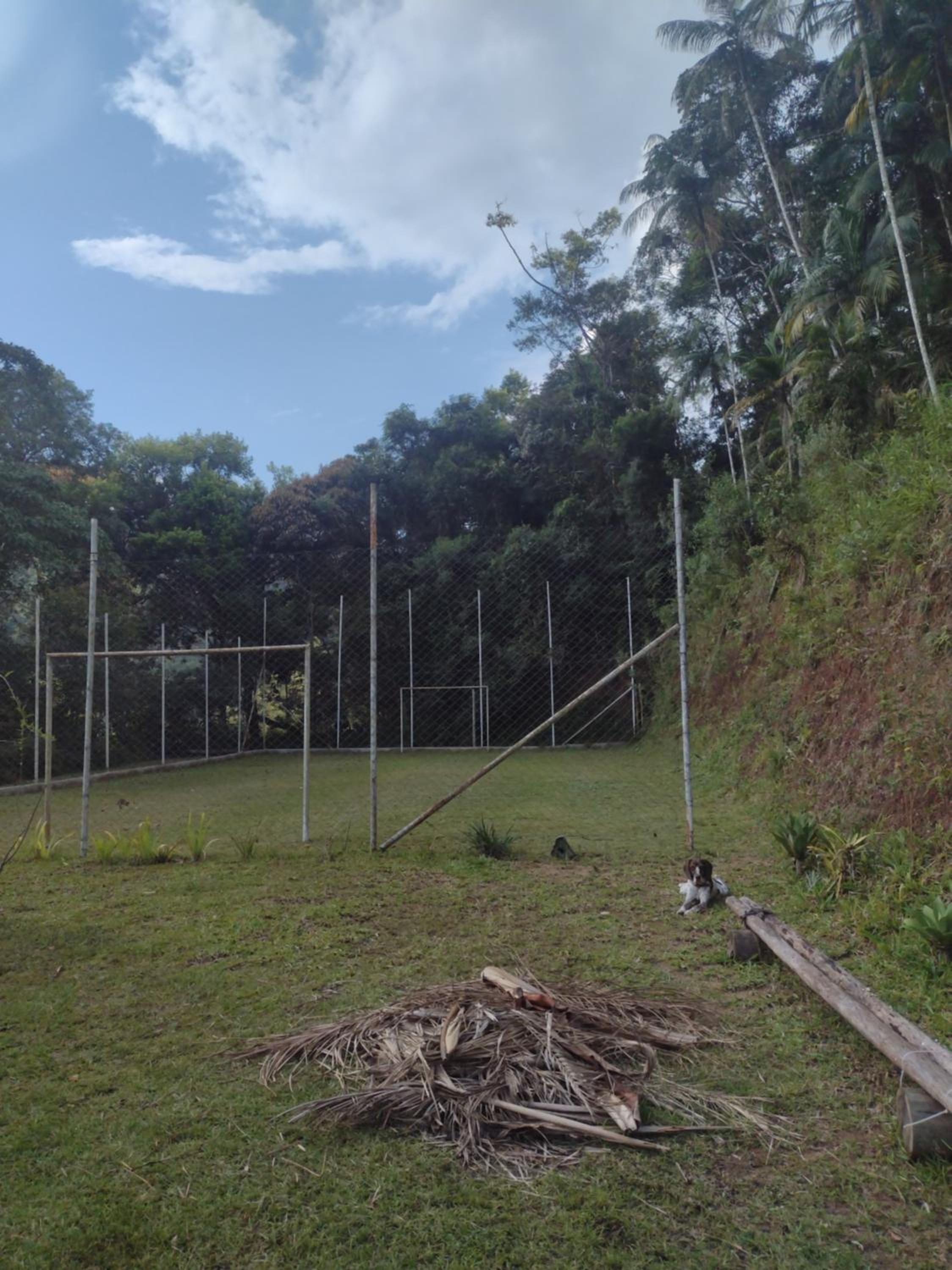 Contemplar a natureza, ouvir os pássaros, relaxar.