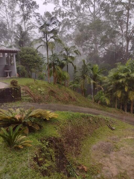 Contemplar a natureza, ouvir os pássaros, relaxar.