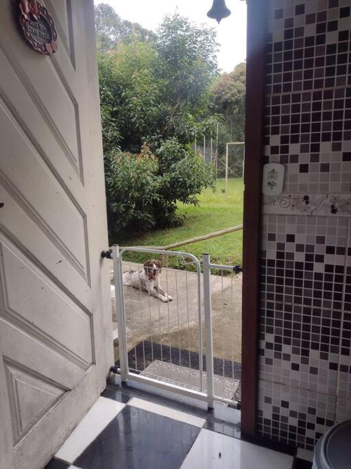 Contemplar a natureza, ouvir os pássaros, relaxar.