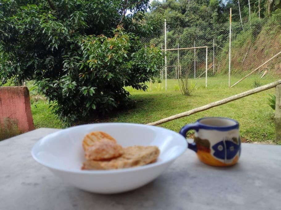 Contemplar a natureza, ouvir os pássaros, relaxar.