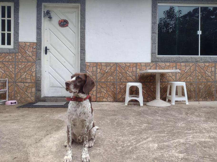 Contemplar a natureza, ouvir os pássaros, relaxar.