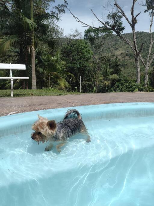 Contemplar a natureza, ouvir os pássaros, relaxar.