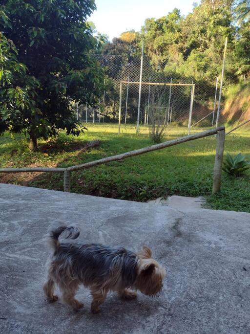 Contemplar a natureza, ouvir os pássaros, relaxar.