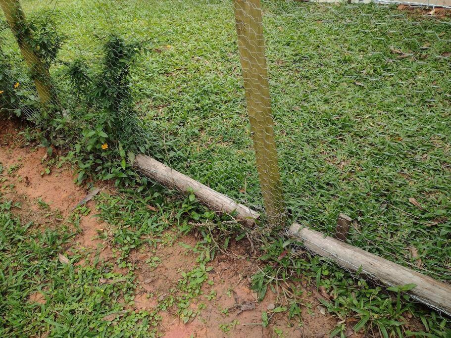 Contemplar a natureza, ouvir os pássaros, relaxar.