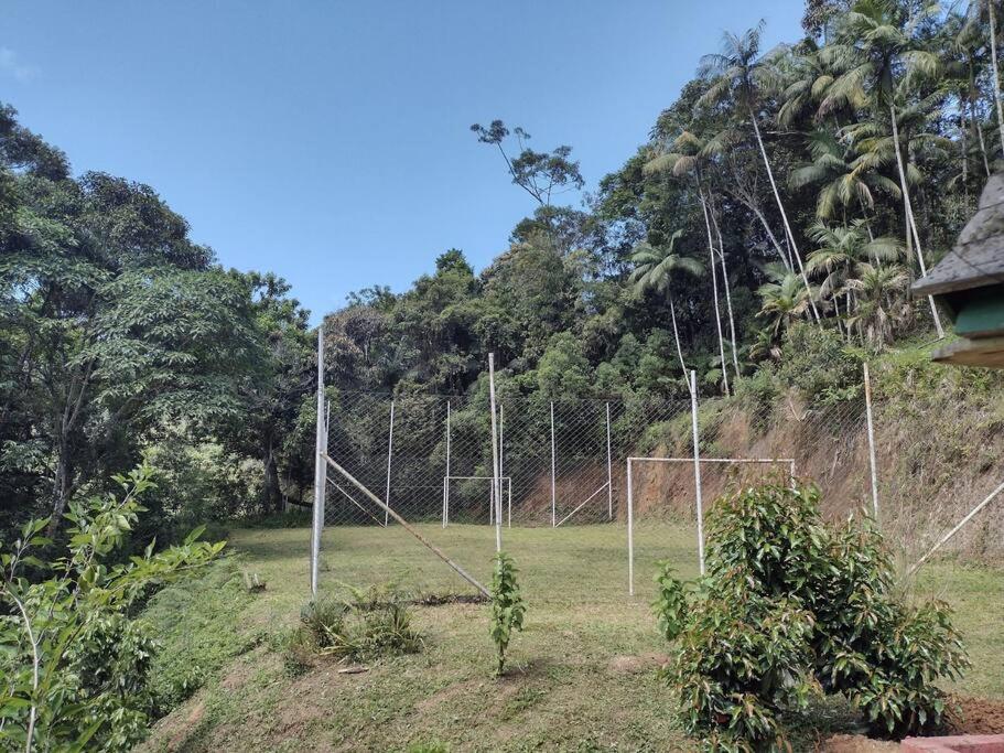Contemplar a natureza, ouvir os pássaros, relaxar.