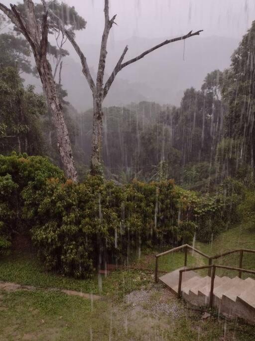 Contemplar a natureza, ouvir os pássaros, relaxar.