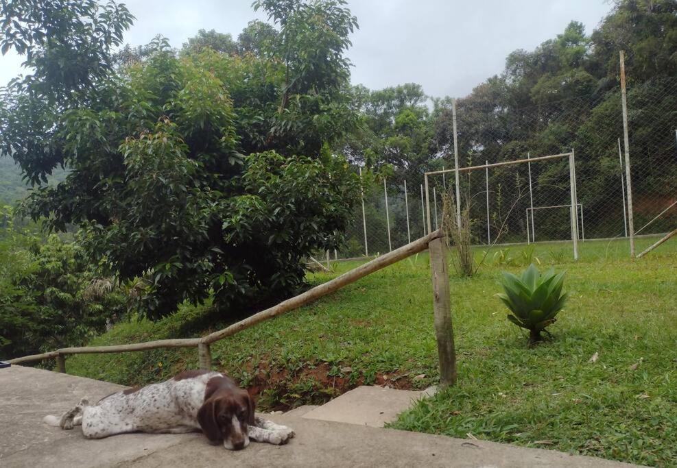 Contemplar a natureza, ouvir os pássaros, relaxar.