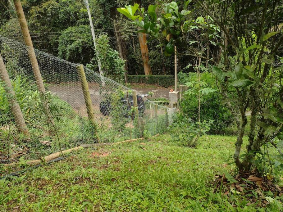 Contemplar a natureza, ouvir os pássaros, relaxar.