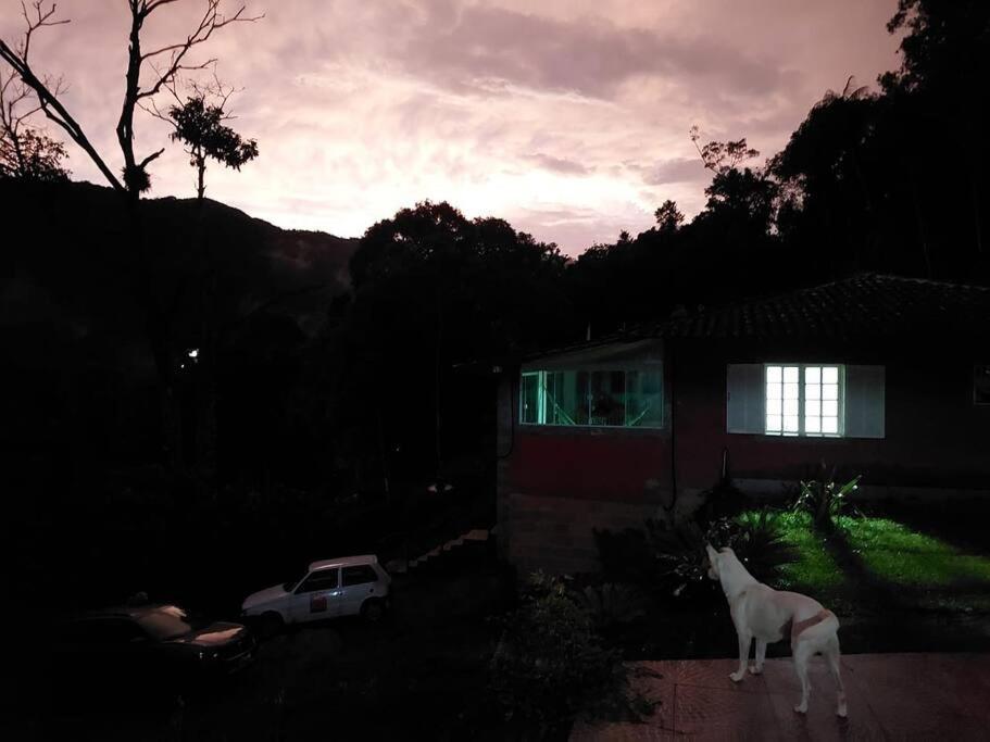 Contemplar a natureza, ouvir os pássaros, relaxar.