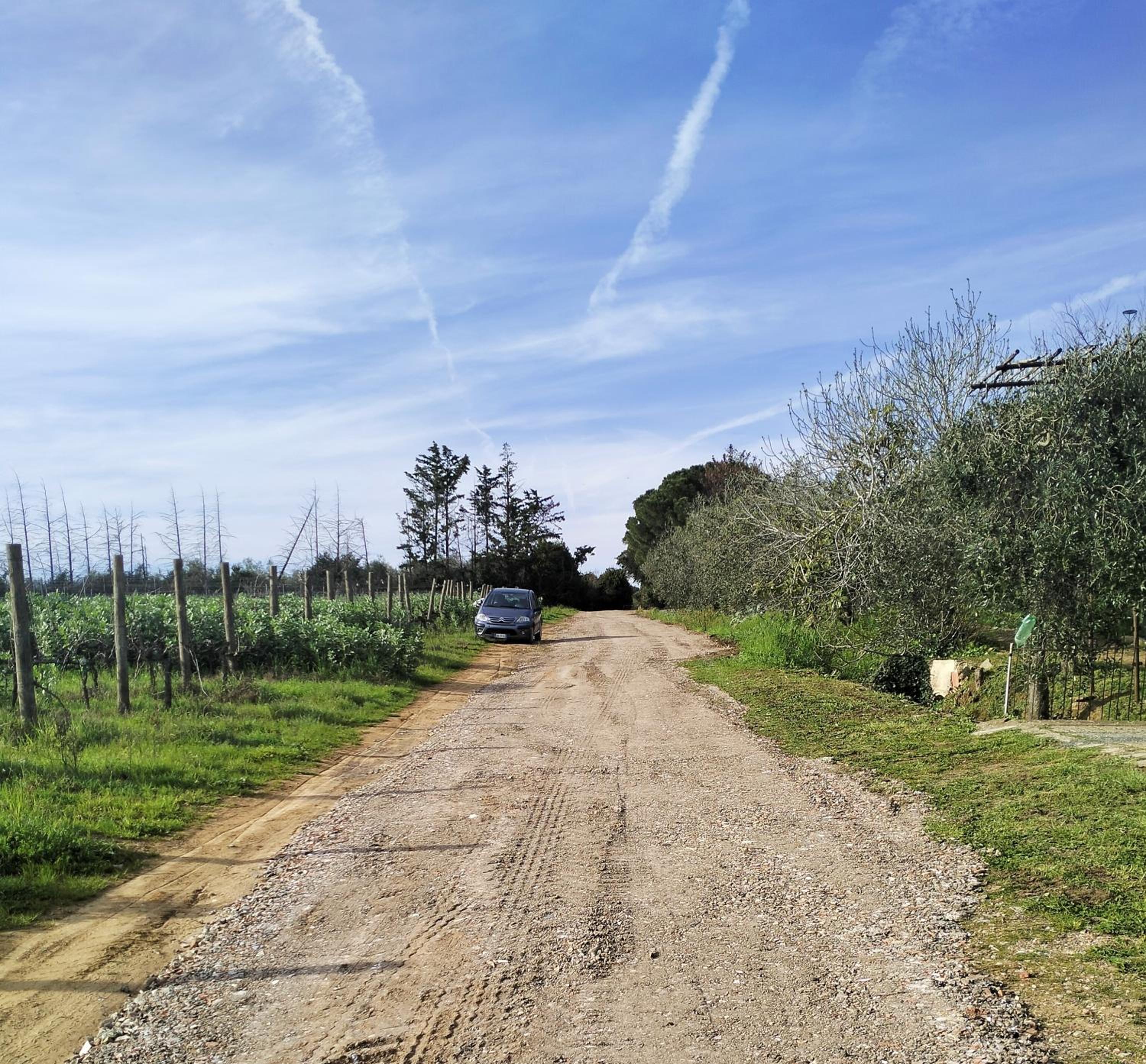 Photo 40