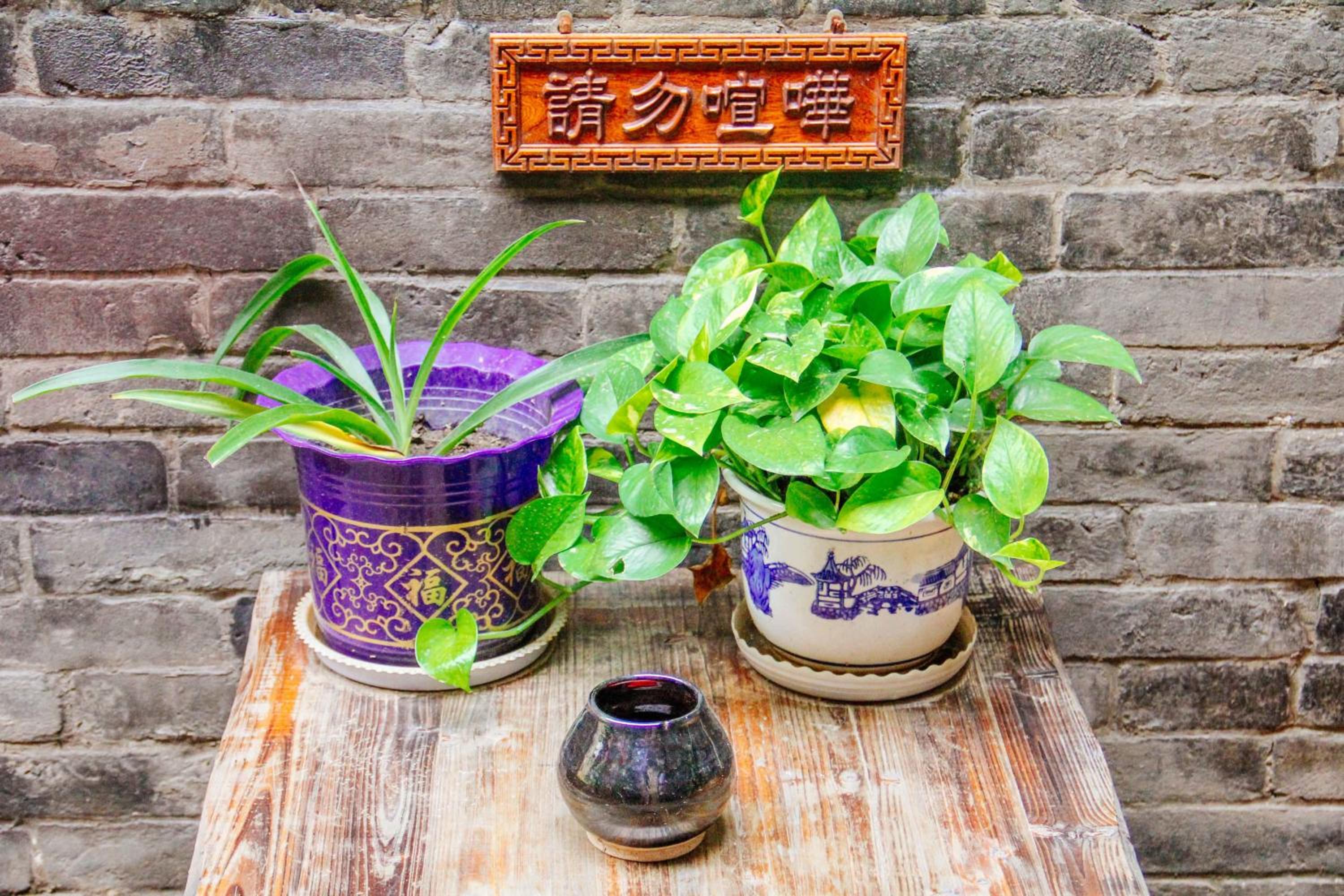 Pingyao Baichanghong Inn
