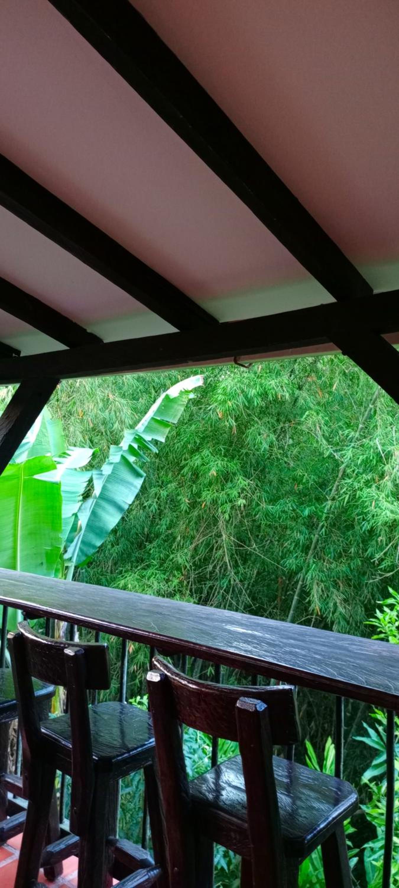 Finca PANACA Jagüey 12 VIP Group - Villas for Rent in