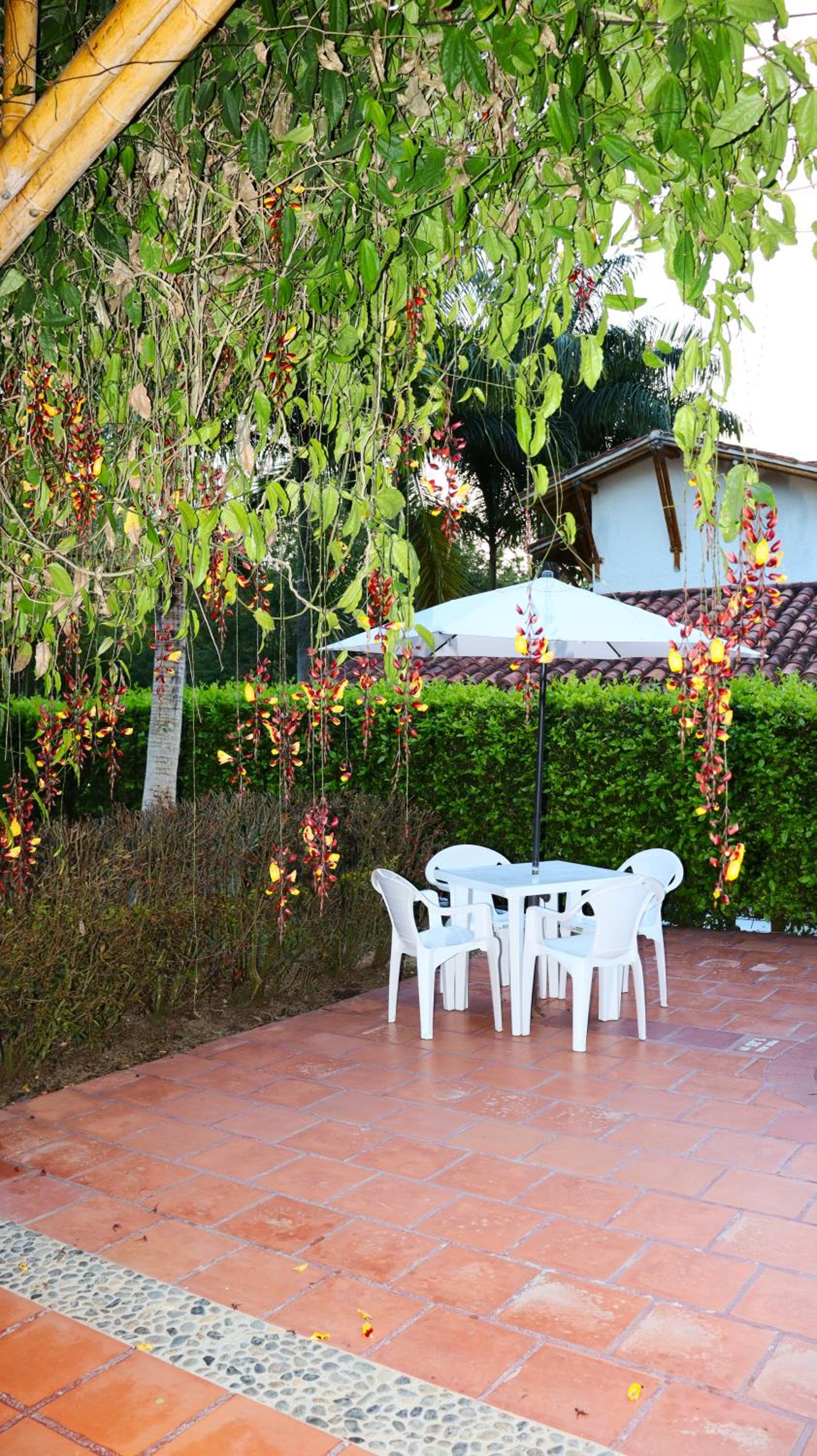 Finca PANACA Jagüey 12 VIP Group - Villas for Rent in
