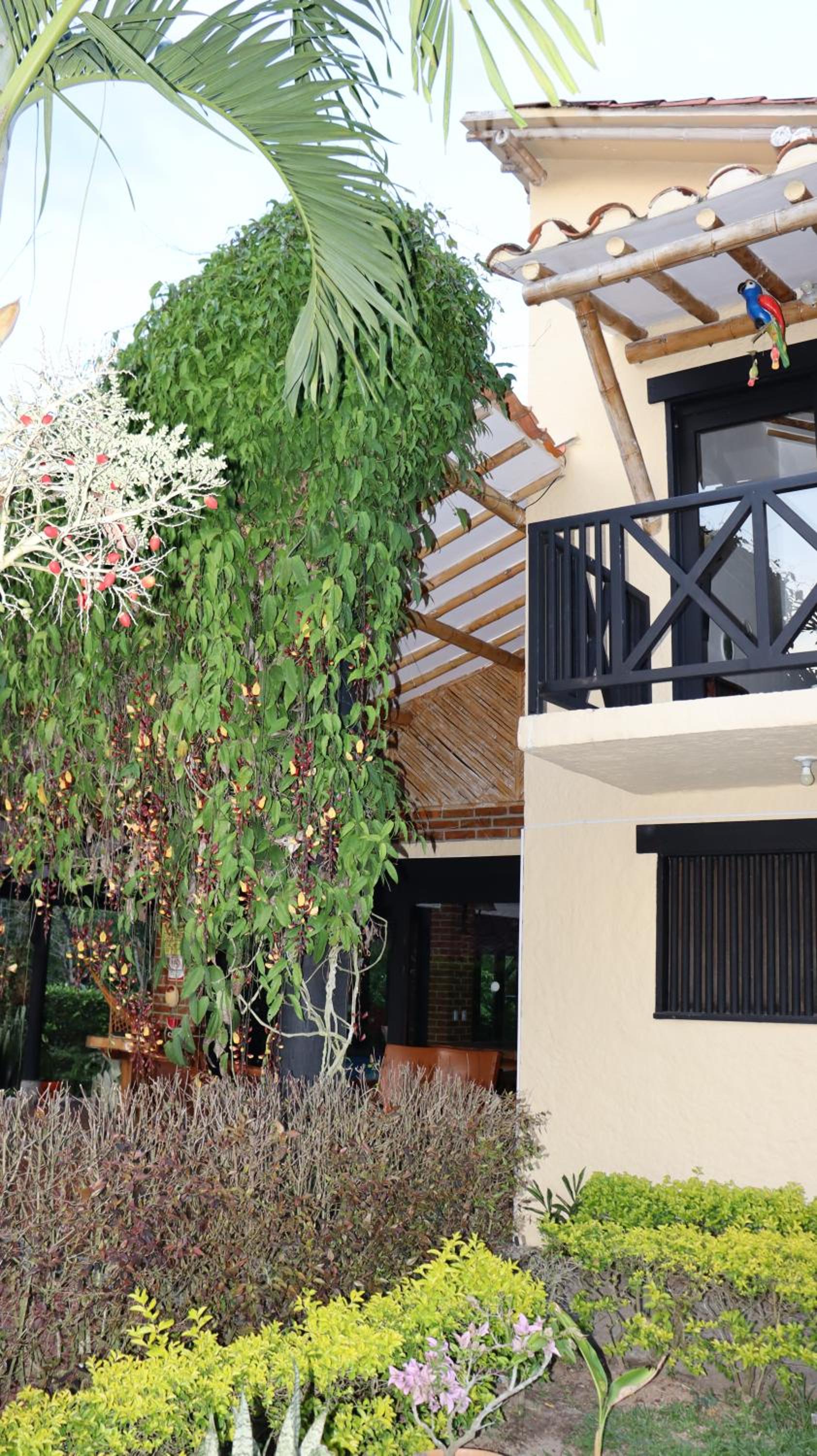 Finca PANACA Jagüey 12 VIP Group - Villas for Rent in