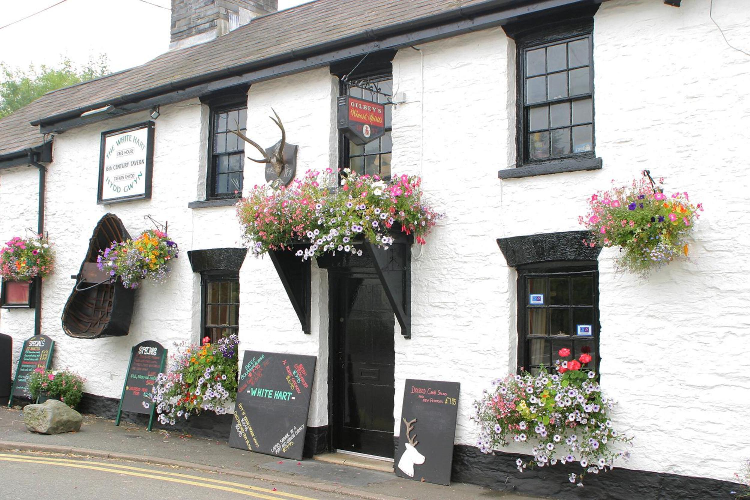 Teifi Cottage Cenarth