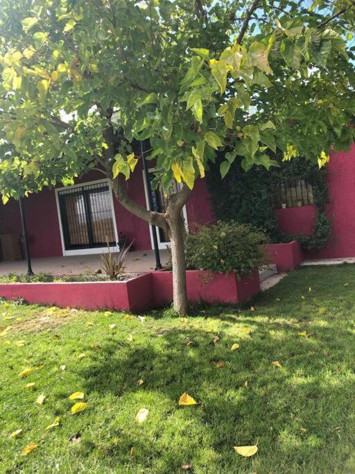 Finca, La Joya