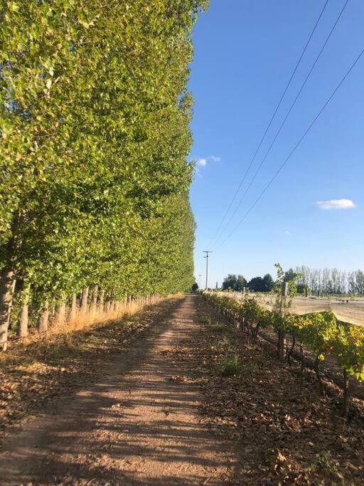 Finca, La Joya