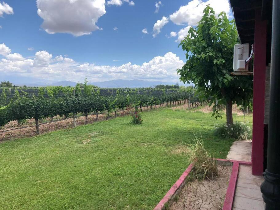 Finca, La Joya