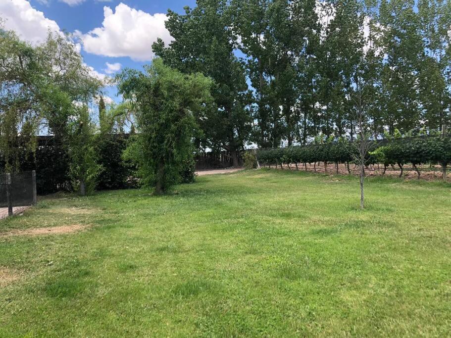 Finca, La Joya