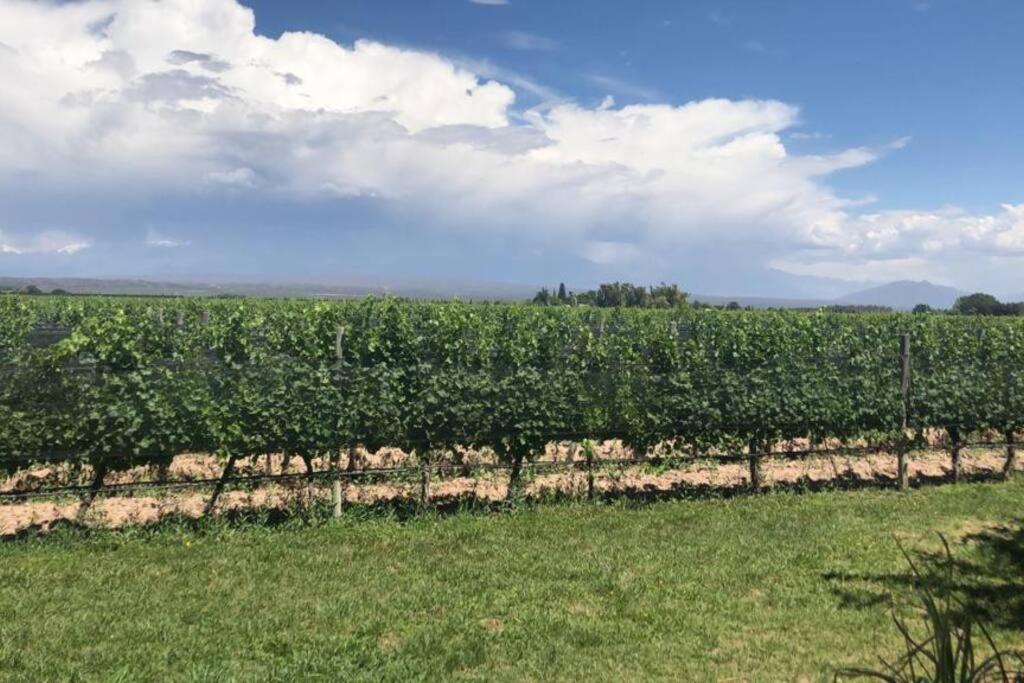 Finca, La Joya