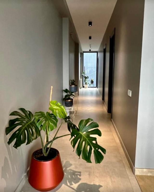 Villa Deluxe
