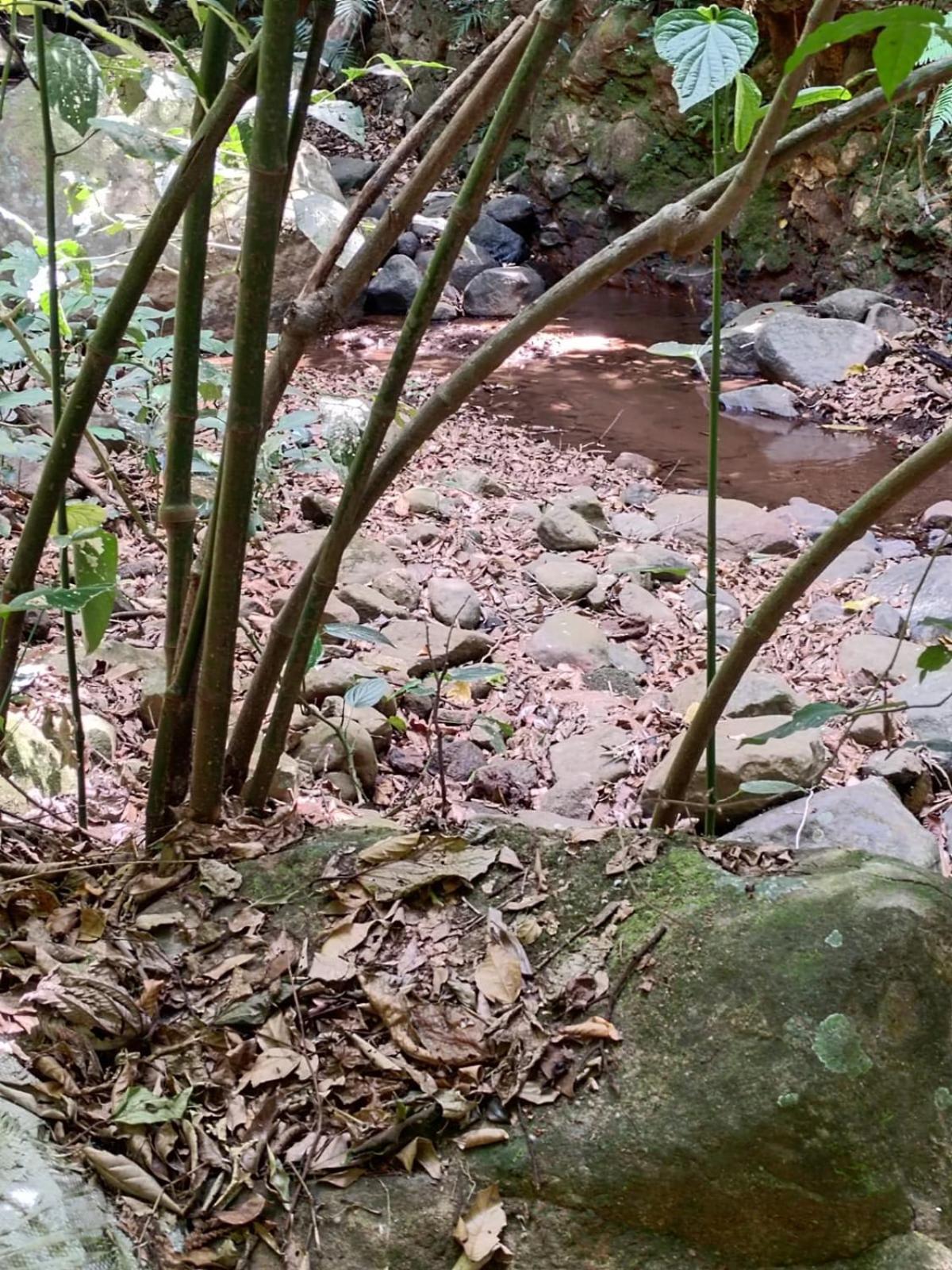 El Paraíso Escondido