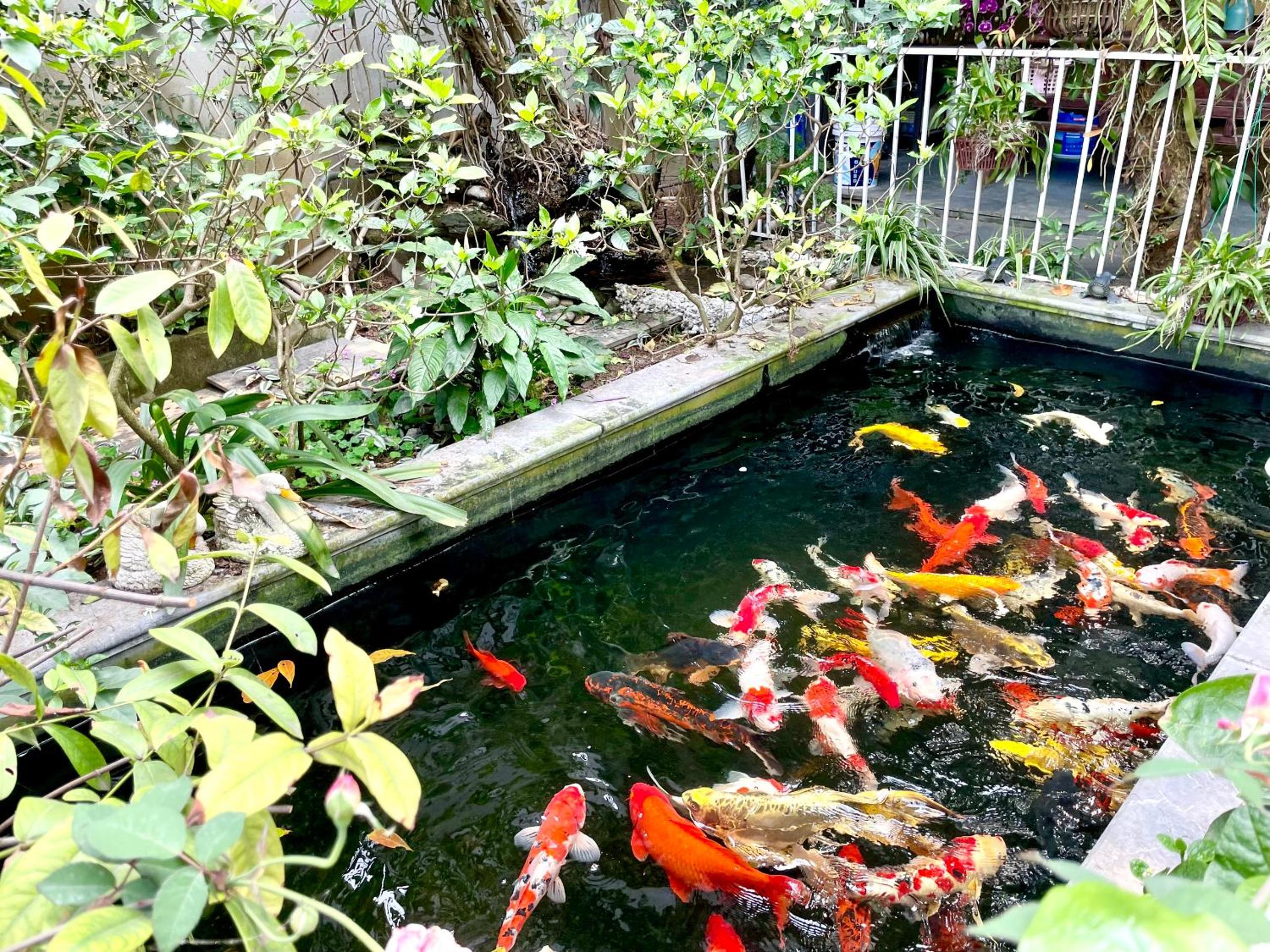 Lee Homestay