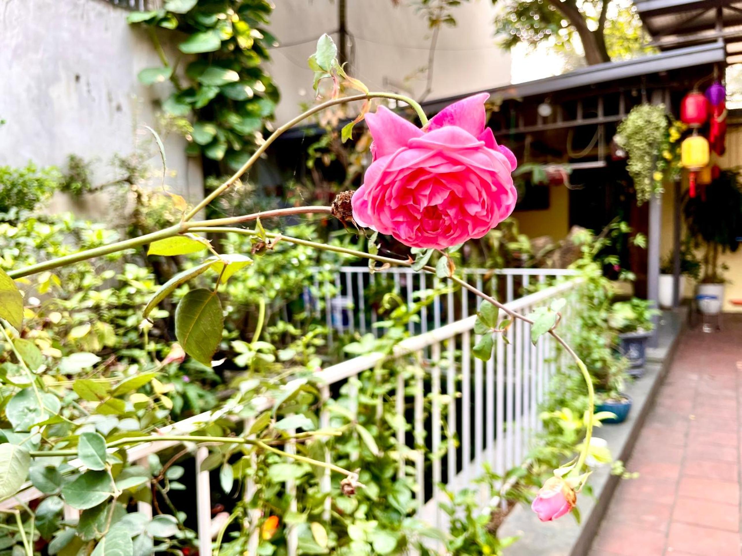 Lee Homestay