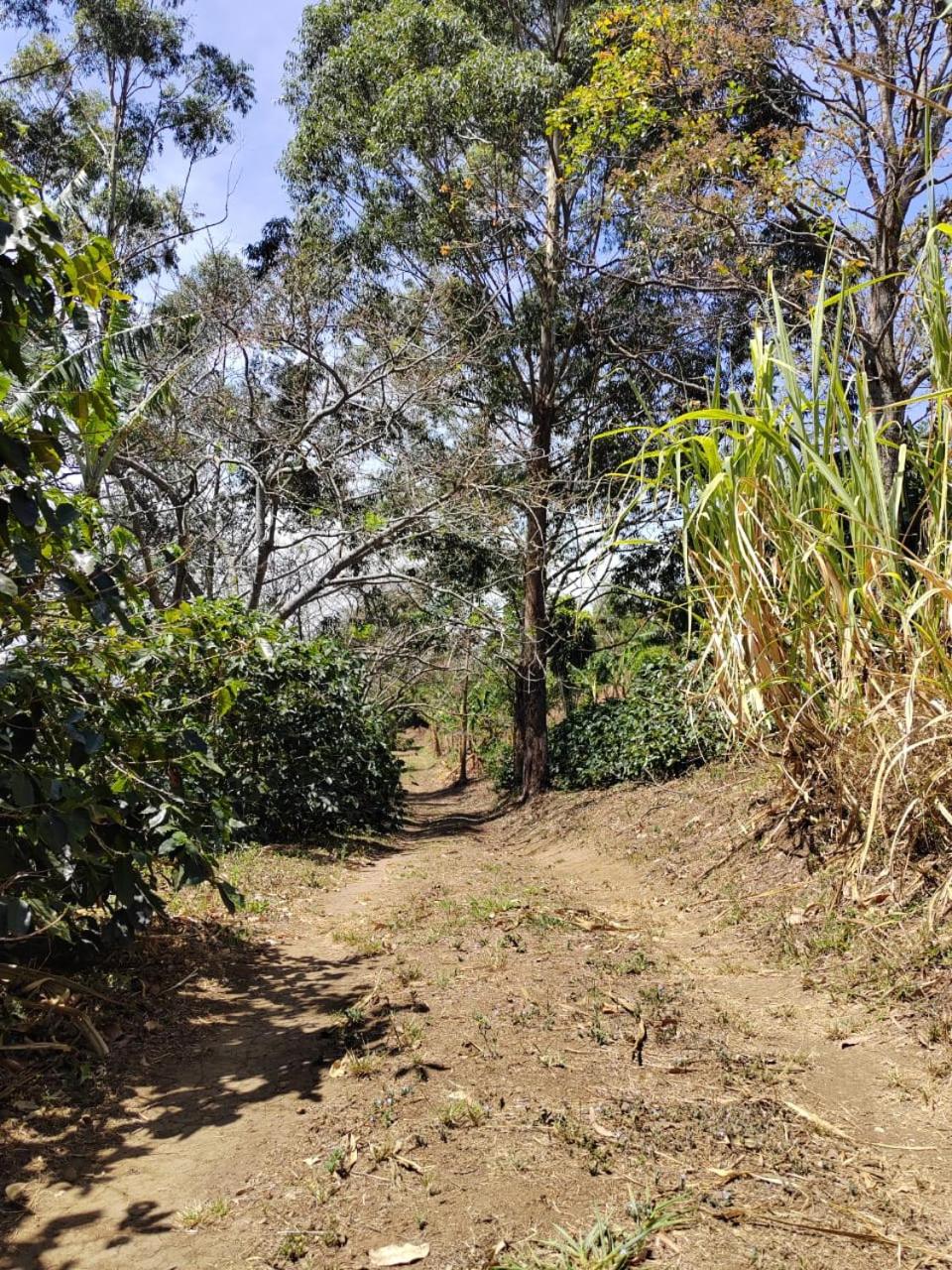 El Paraíso Escondido