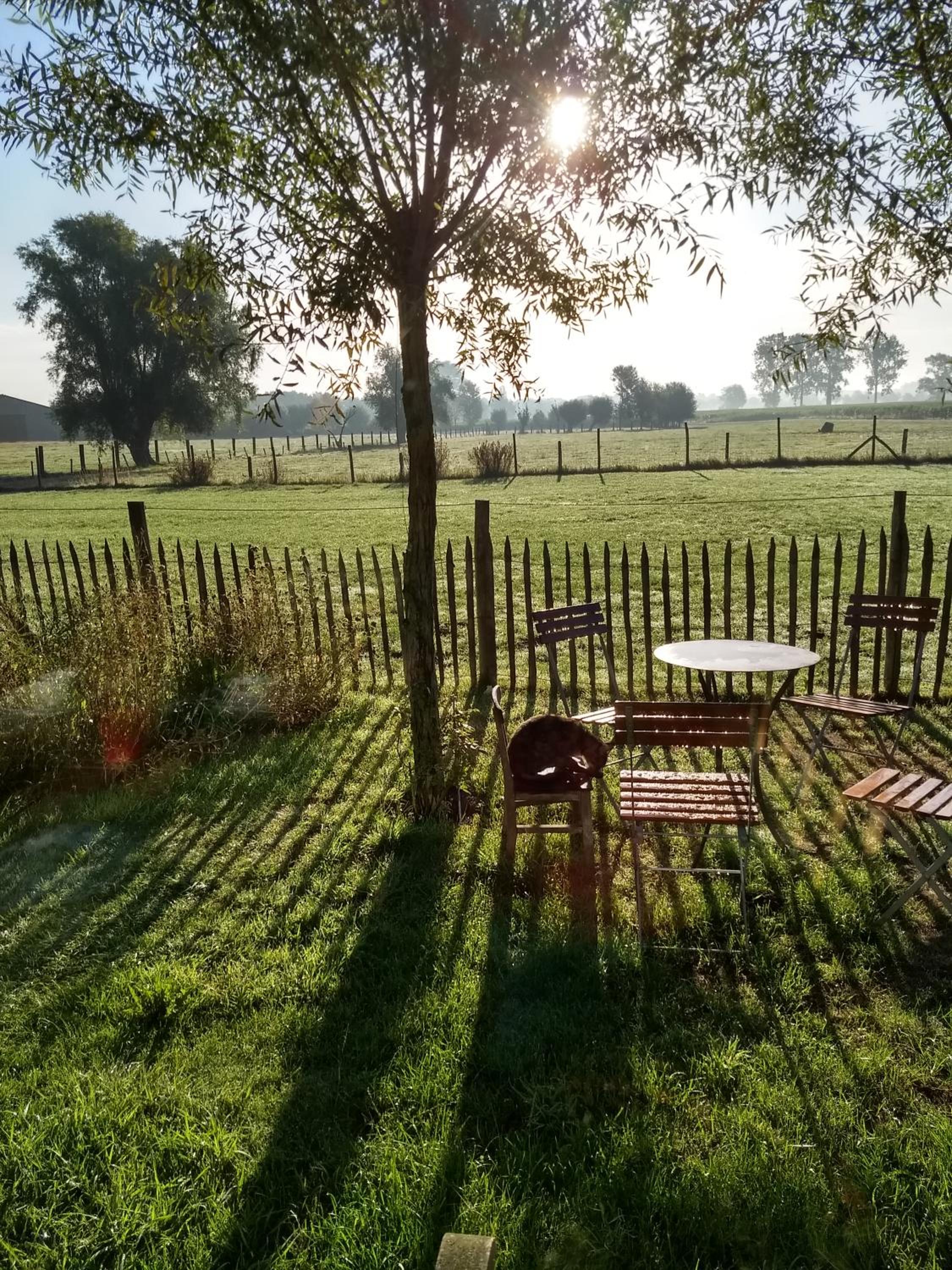 B&B De Vossenbarm