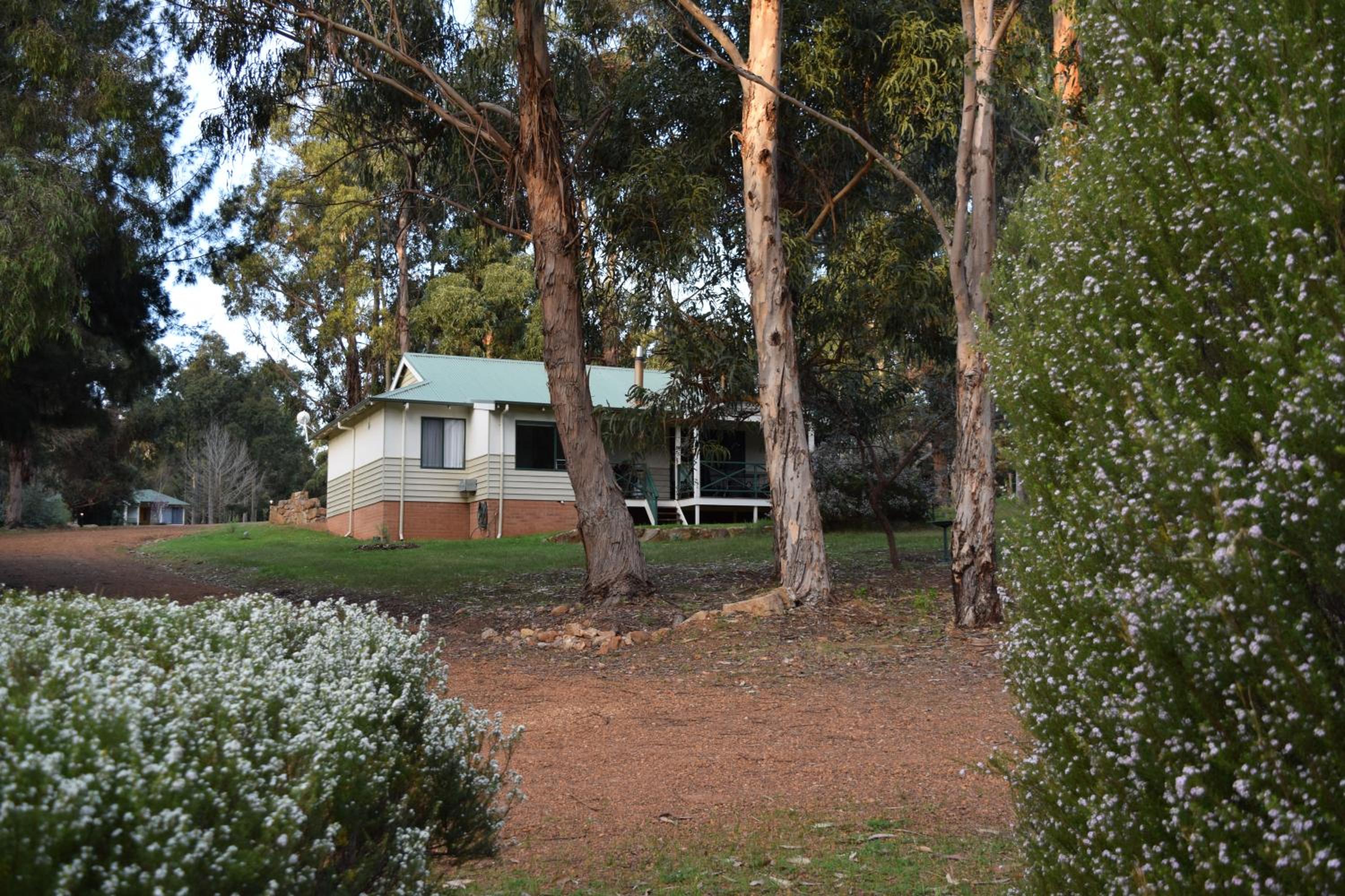 Bushy Lake Chalets