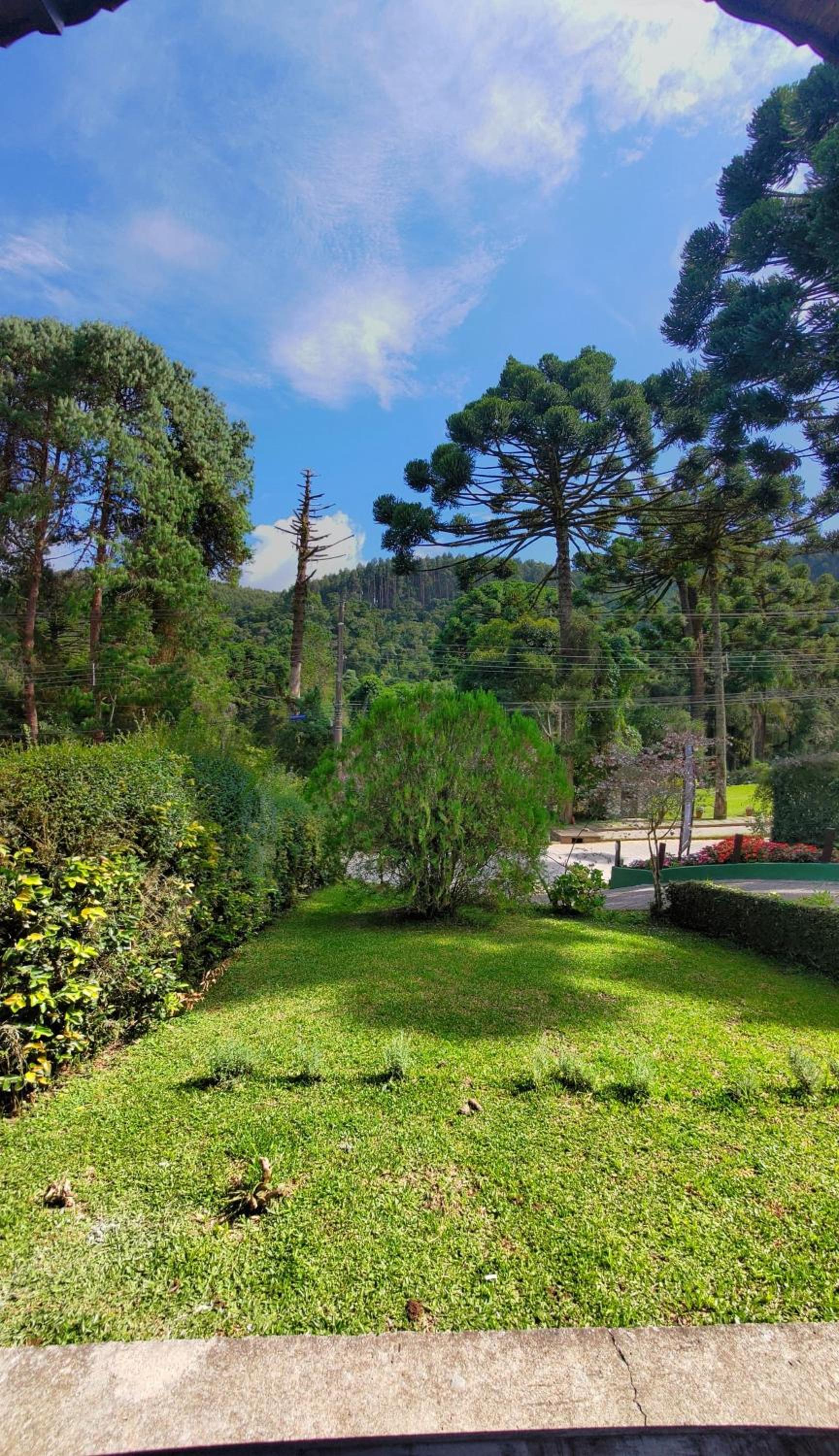 Chalés Leopoldo em Monte Verde