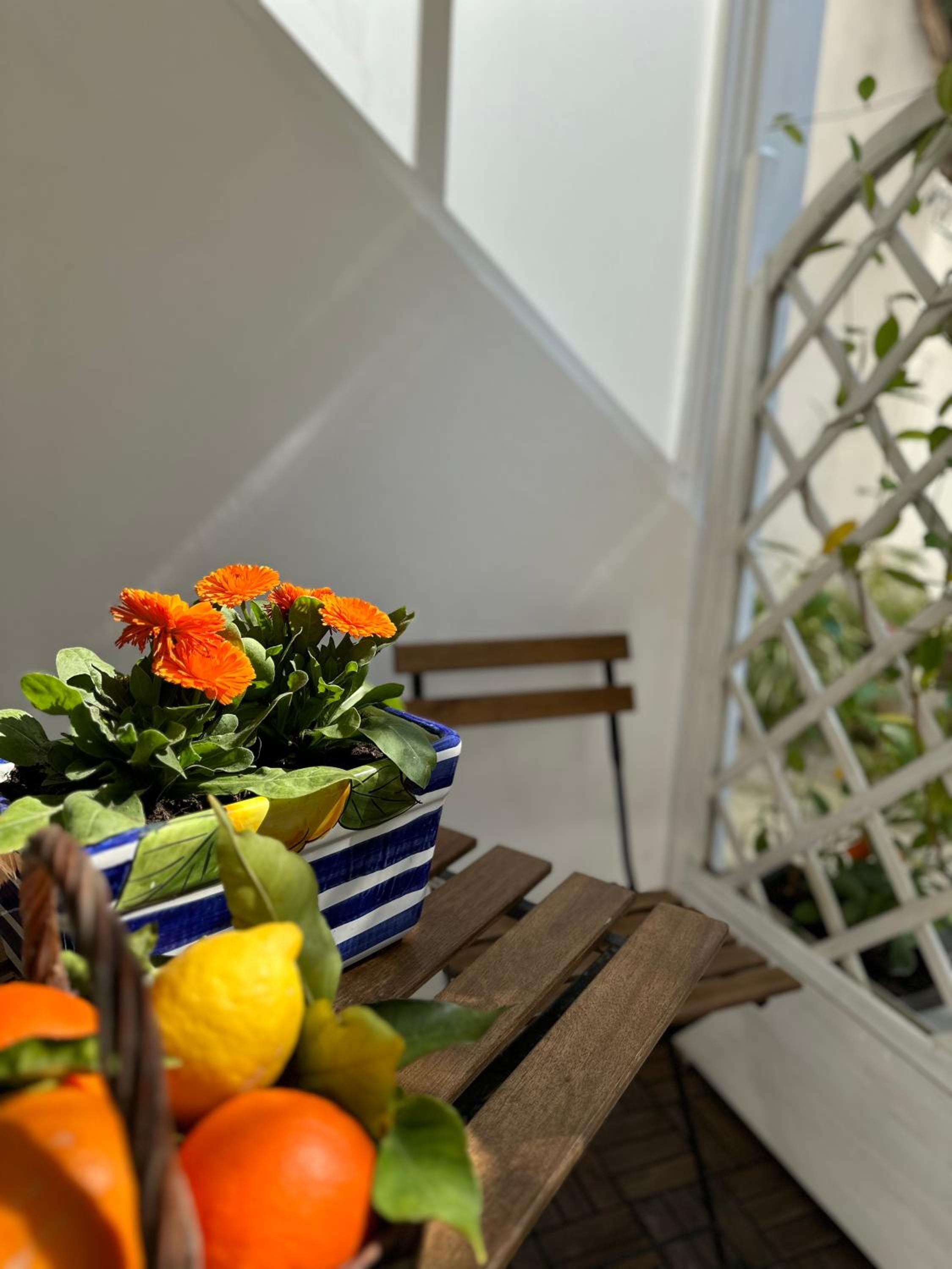 Il giardino di aranci e limoni photo 5