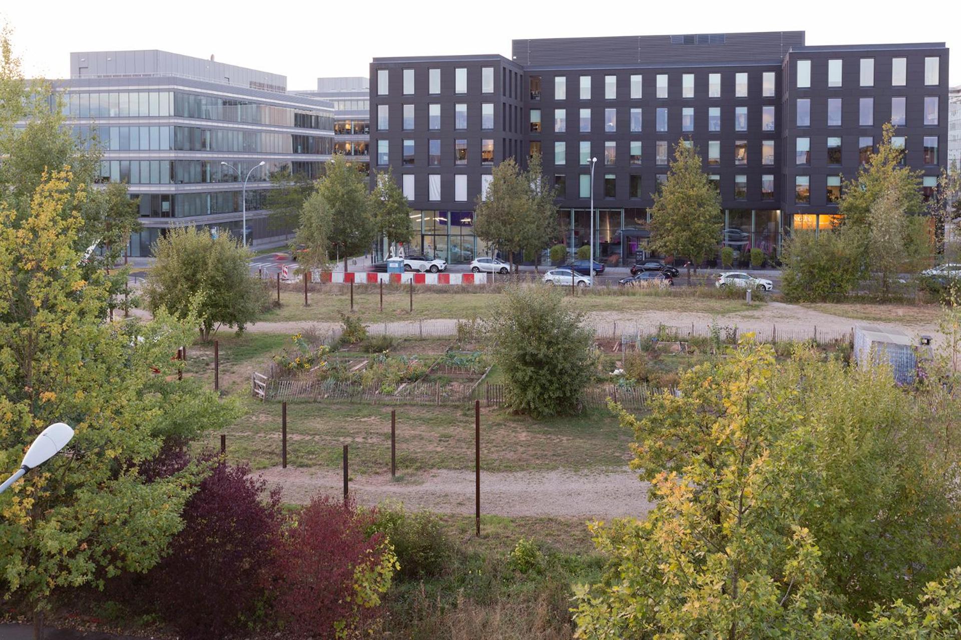 Photo 45