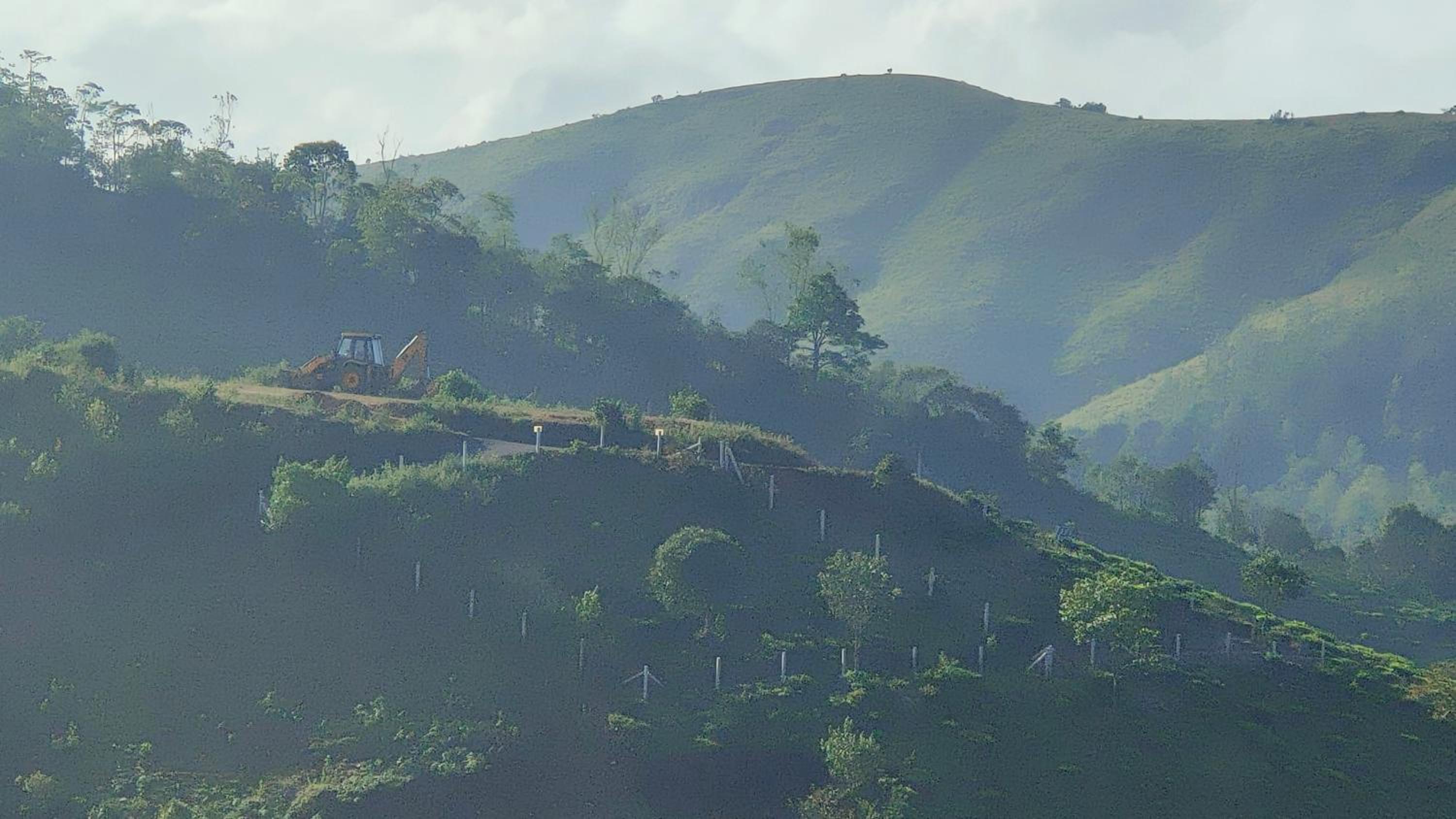 Greenlush Paruntumpara