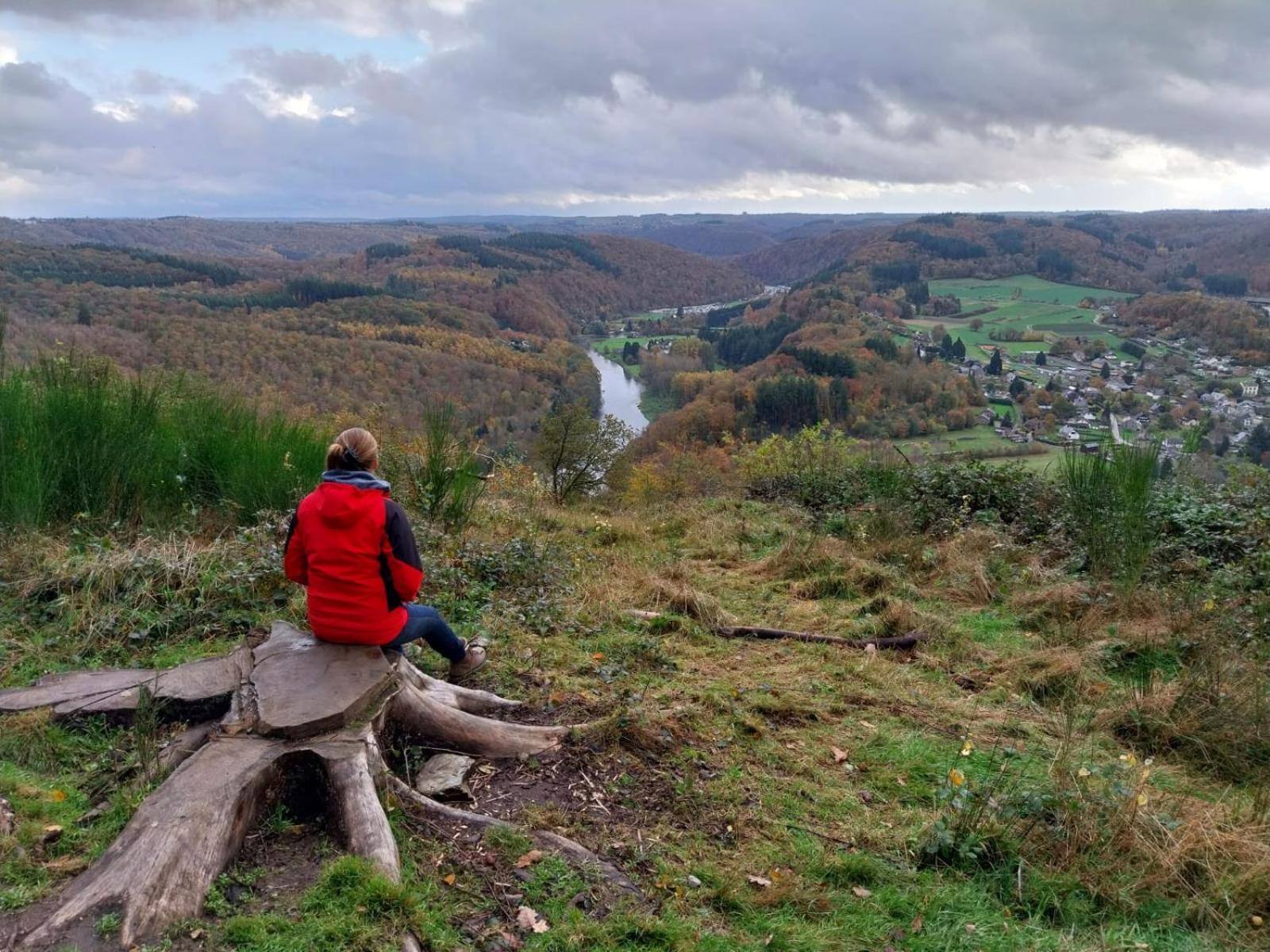 B&B En face du Marronnier