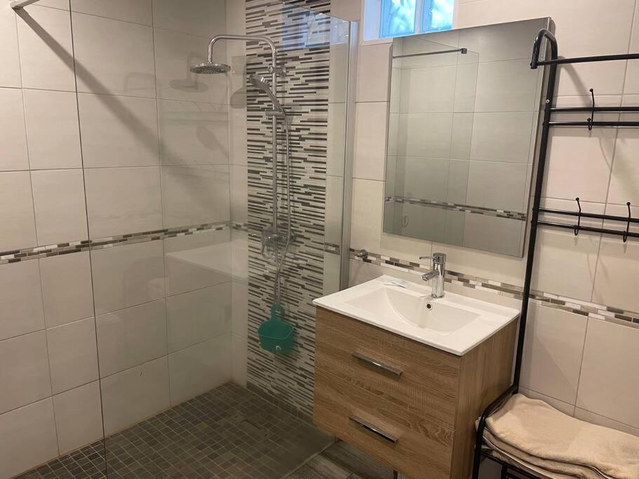 Au Bord de l Eau - Villa 7 chambres view 4