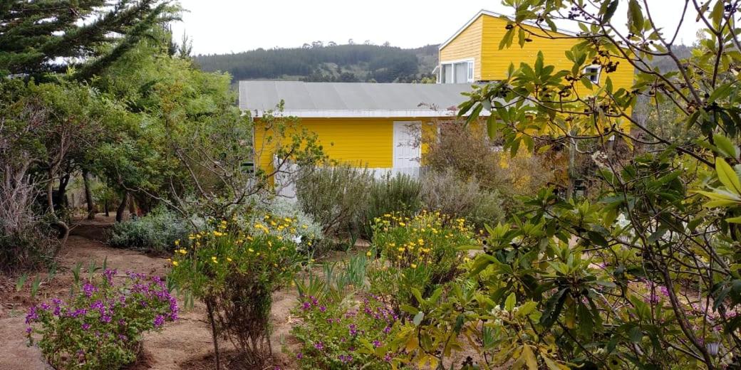 Casa Tunquén