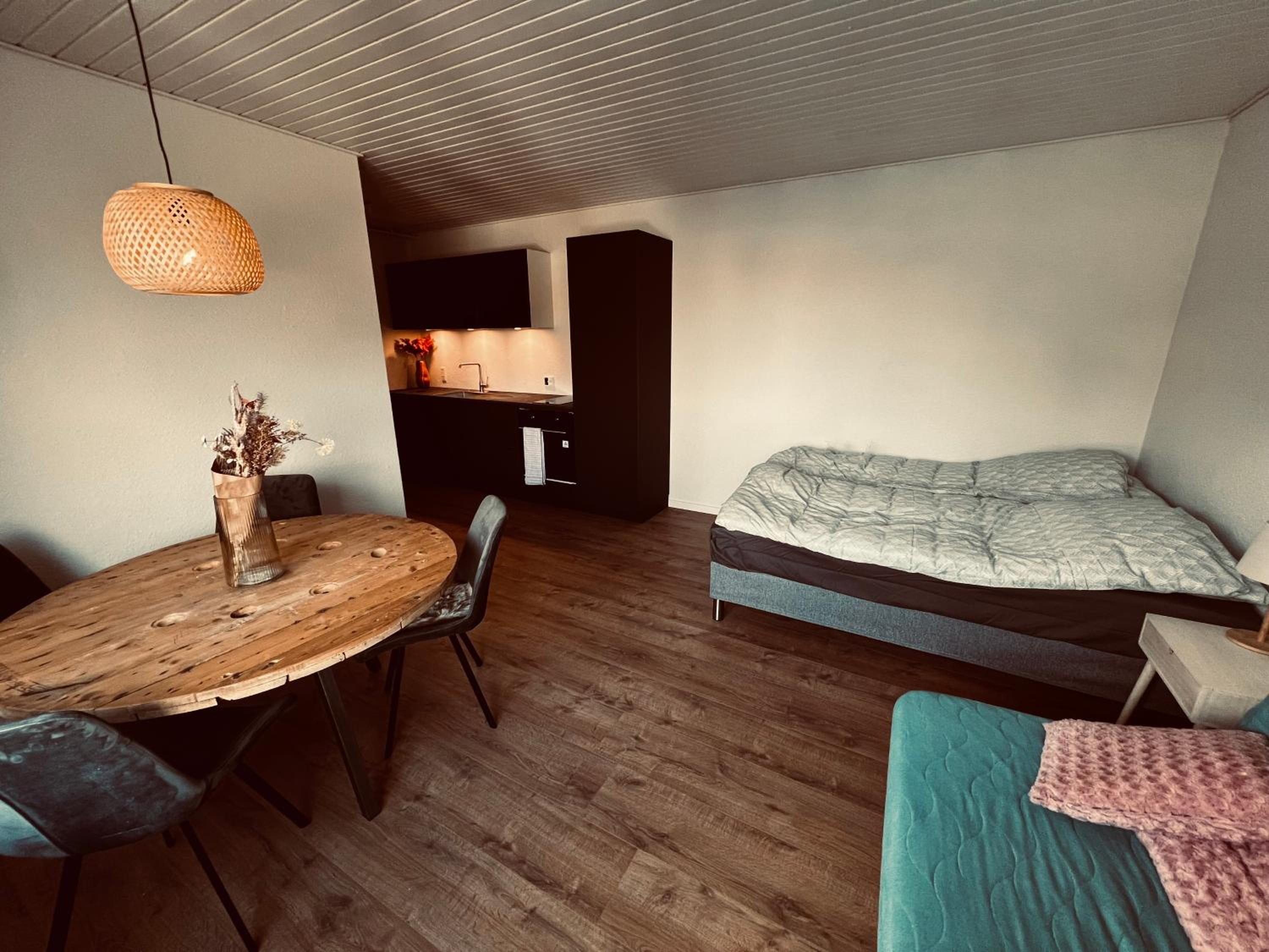 Cozy Flats Silkeborg - 1TH view 5