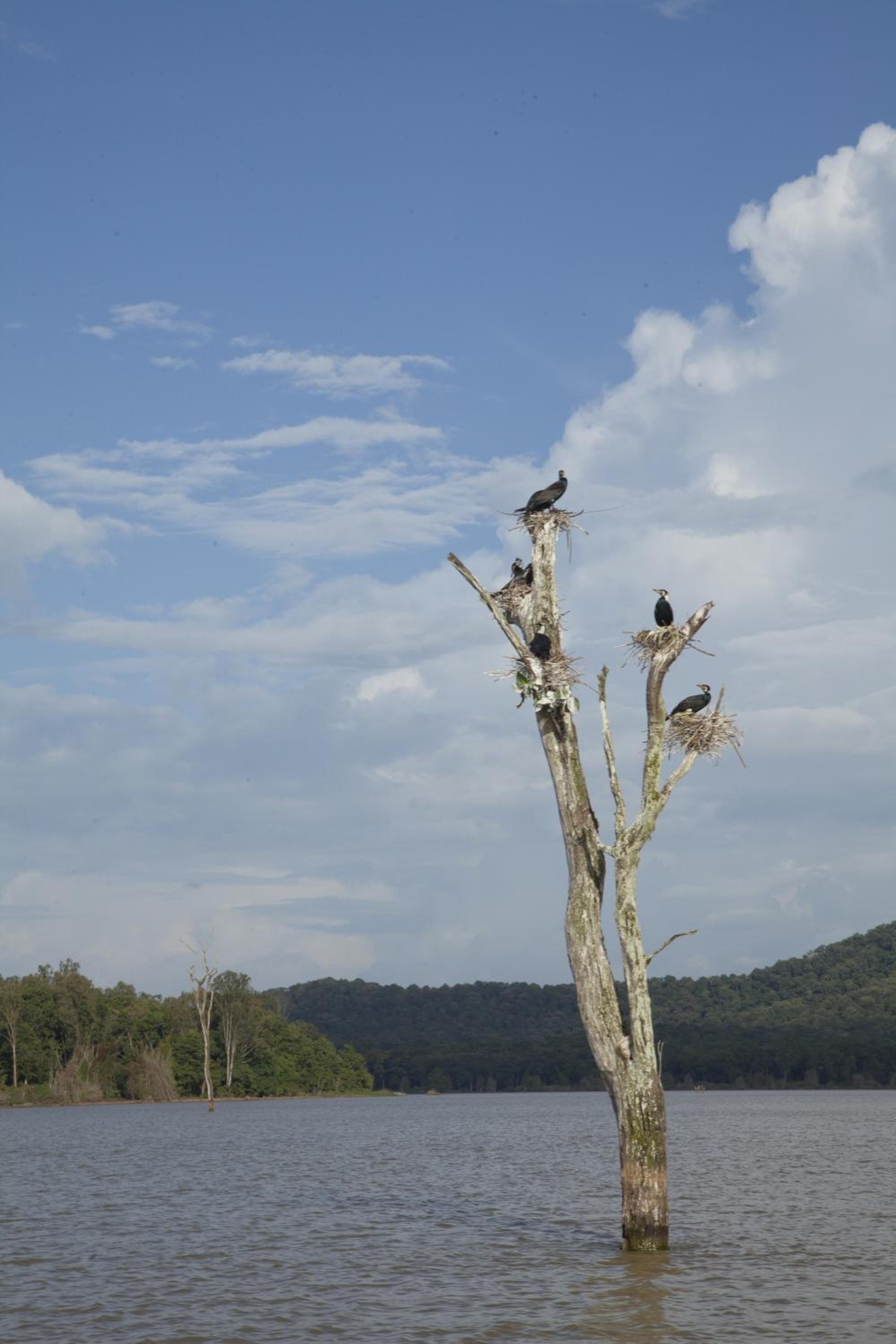 Waterwoods Lodge Kabini