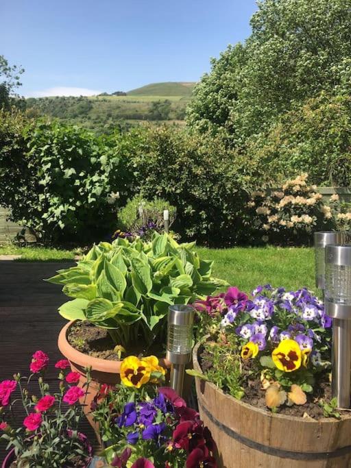 Cribden Hill View, photo 24