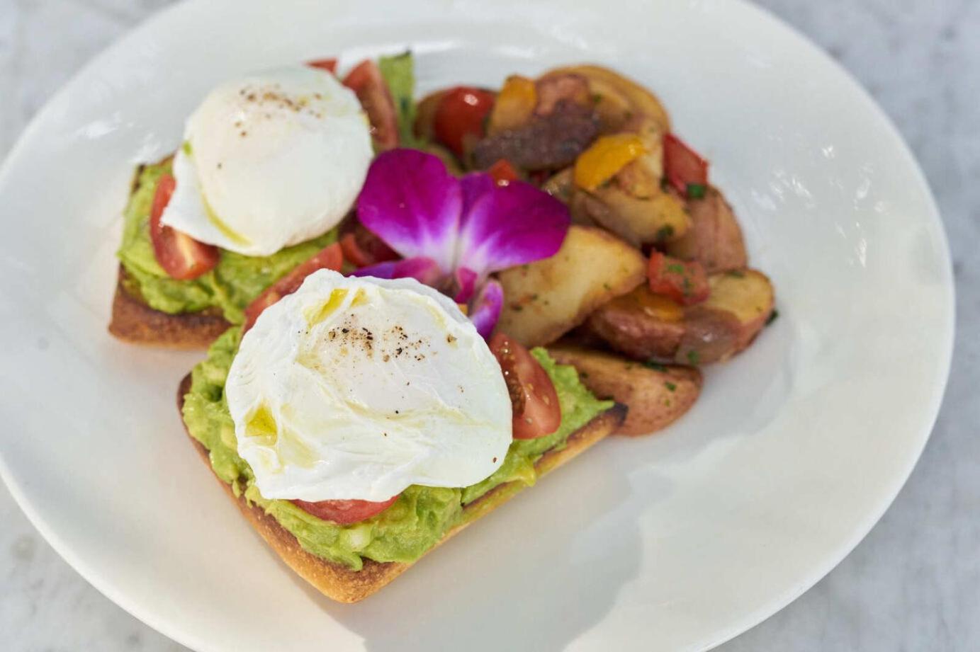 Gale South Beach, Curio Collection By Hilton-2