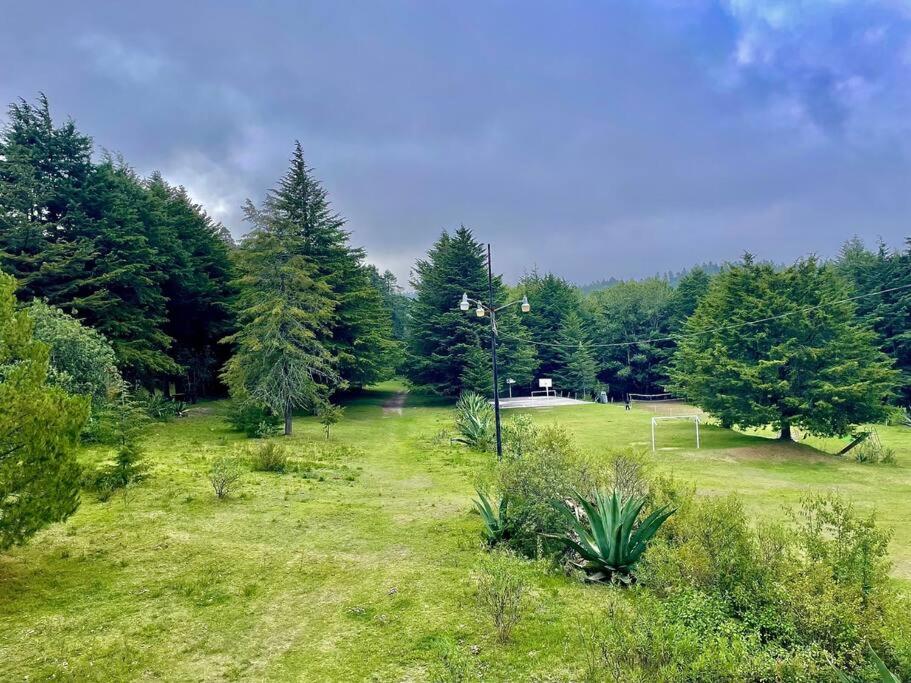 Cabaña Hermosa Bosque Privado 19 view 3
