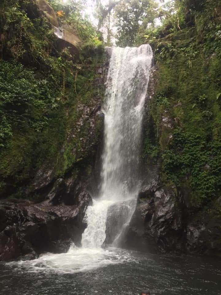 Pozas Guacimo