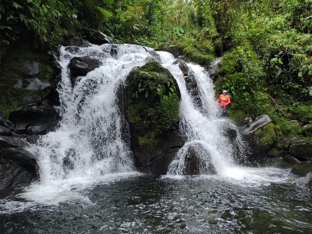 Pozas Guacimo
