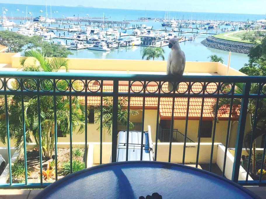 Shingley Sea Views