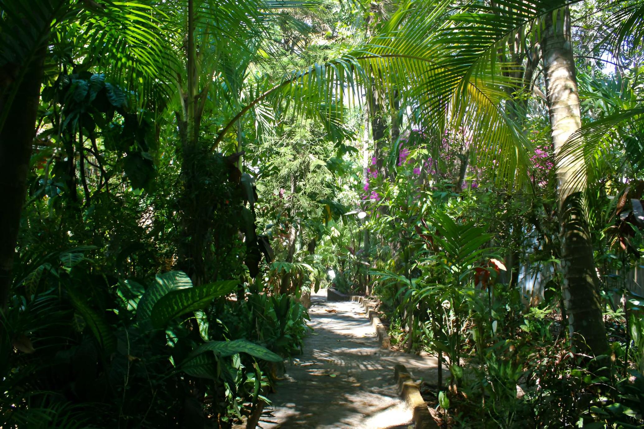 Photo 22